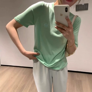 清新感刺绣短袖针织衫女夏季透气宽松显瘦百搭基础款少女感上衣