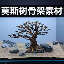 Ī˹��ݸ��쾰�Ǽ�Ҭ���AƬ��������һľ�ɾ��Ǽ���֦������