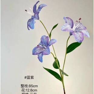 ��ꖻ��Z���沼3D3�^С�ٺ� �ָз��滨�Ҿ��b��zӰ�����҃ȵ���