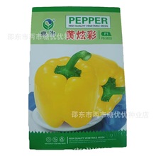 黄炫彩甜椒种子橙色大果金色辣椒种黄灯笼椒彩椒种子青椒蔬菜种子