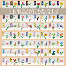 СwƴbeľŮTƴDһͯY