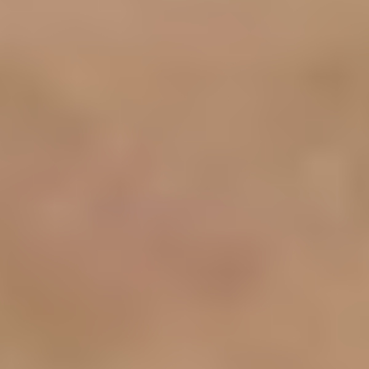 现货供应美国ASCO防爆电磁阀EFG551A002MS原装正品