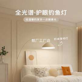 钓鱼落地灯ins奶油风客厅沙发边卧室床头灯现代简约护眼落地台灯