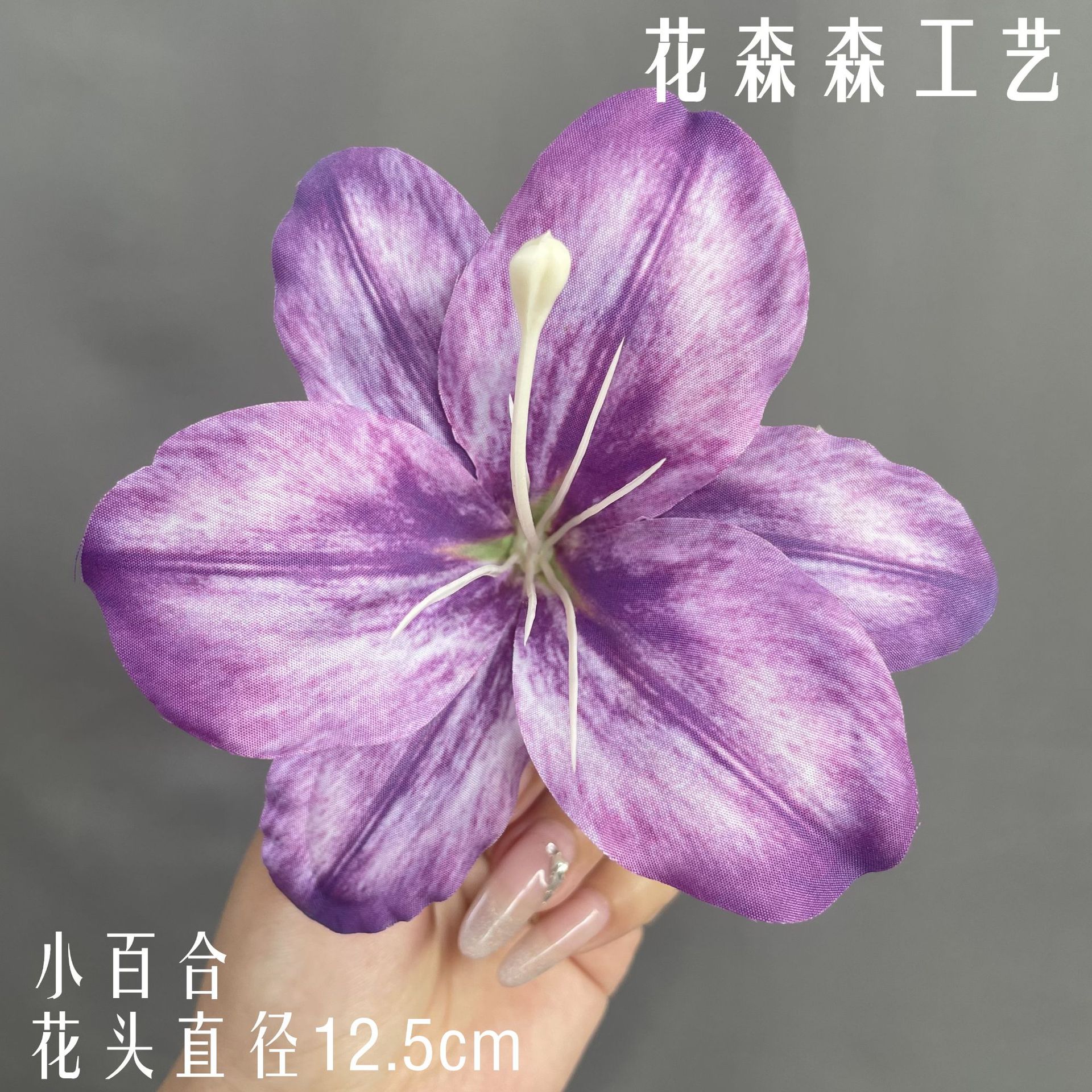 컬러 7