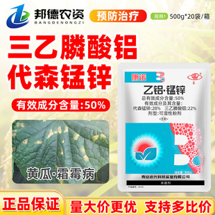 �������Z 50%���X�i�\��������X��ɭ�i�\˪ù���ױ��o�rș������