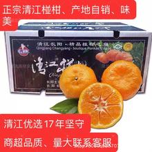 正宗湖北长阳清江岩松坪椪柑一级果45枚整箱(带箱10.5-11.5斤)