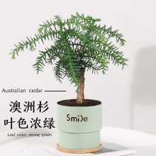 ����ɼ�辰���Ϙ�����ɼ���Կ͏d�k����������B�ļ�������Gֲ