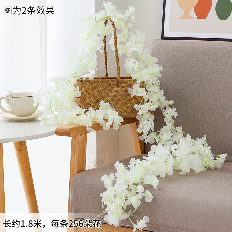 256 머리 벚꽃 등나무 화이트