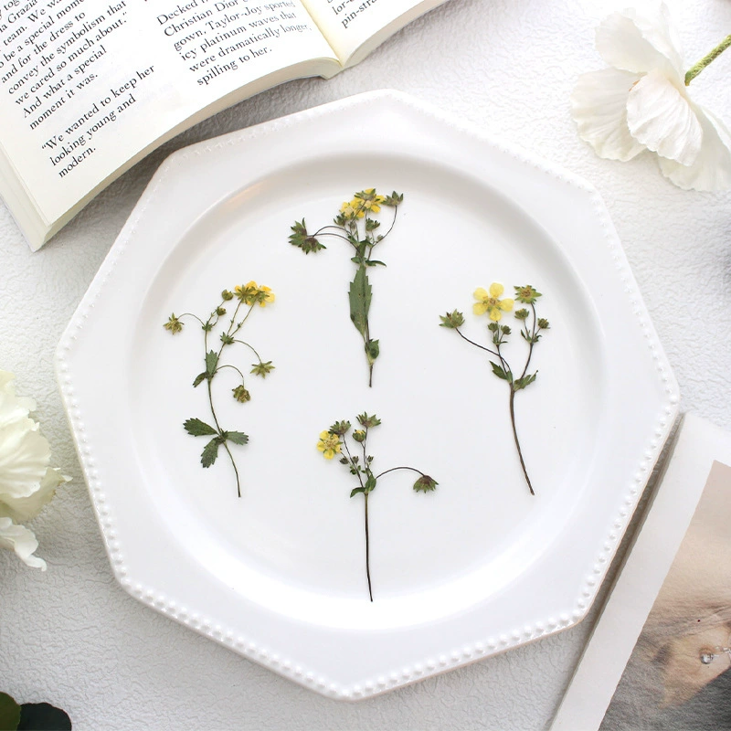 Горная клубника сушеные цветы с тиснением образец растения DIY капающий клей для мобильного телефона рама для ароматерапии свечи закладки папоротник