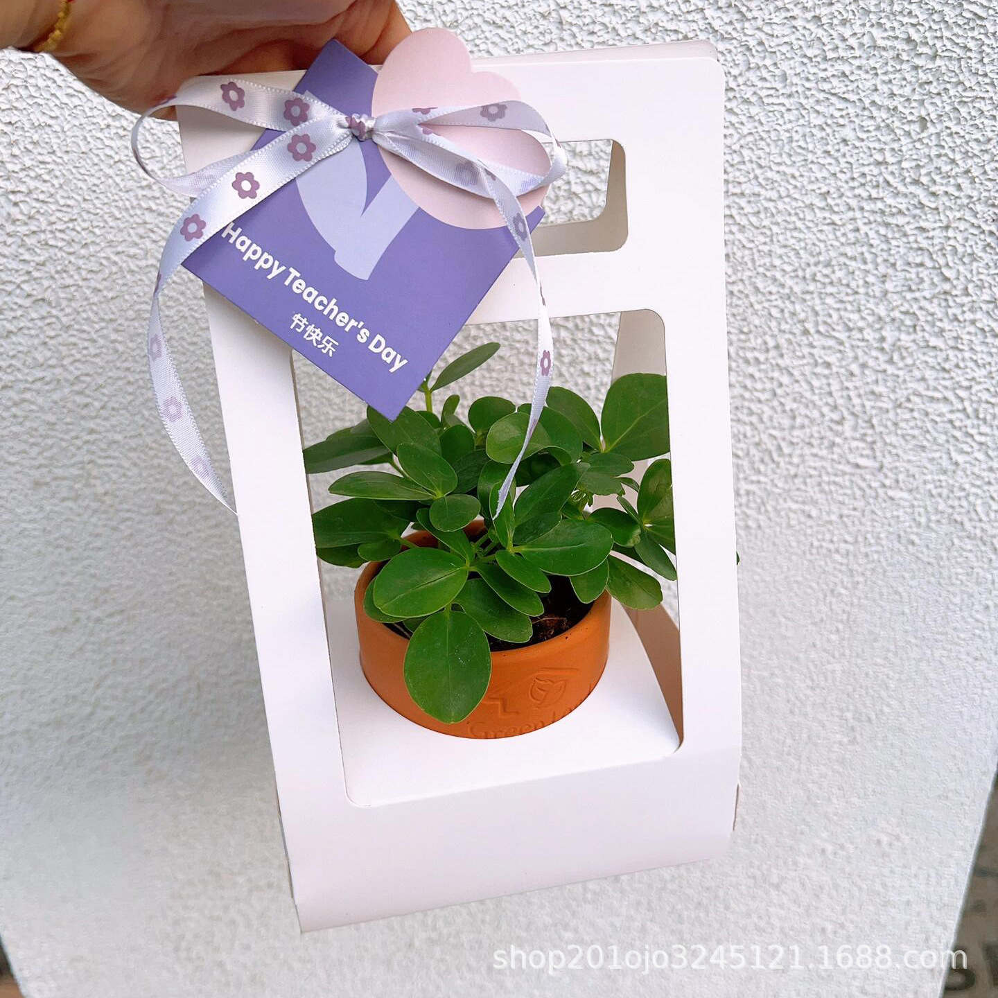 盆栽大号 (5).jpeg