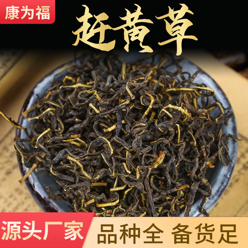 赶黄草 扯根菜山黄鳝水泽兰 中药材赶黄草 大量现货 产地货源