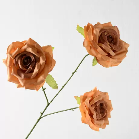 3-head diamond rose caramel