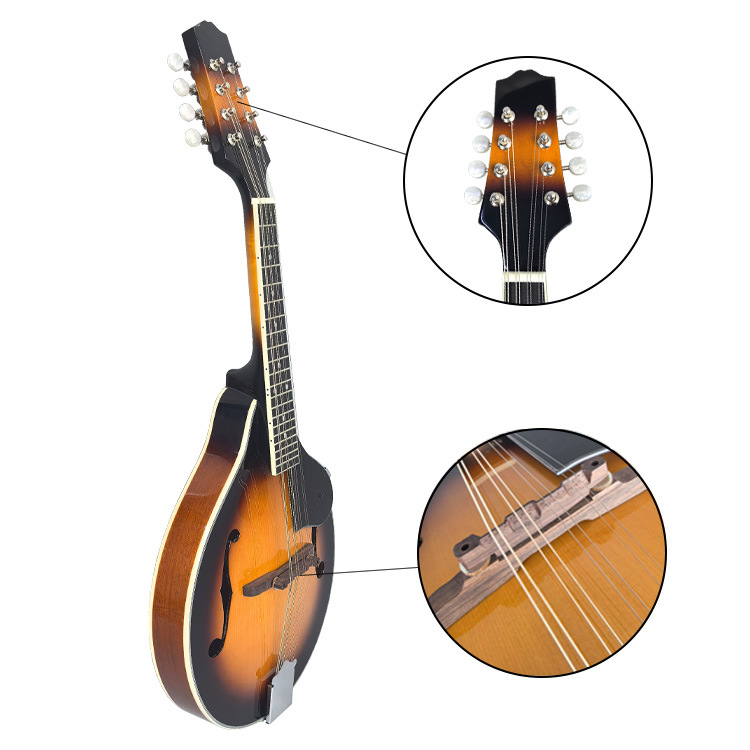 Musical instruments, ethnic guitar, for beginners