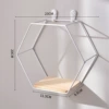 Single hexagon 3-white