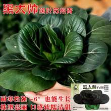 ڴ󎛺~_Ŵ๣˷NKļN̨ˈ@˷N