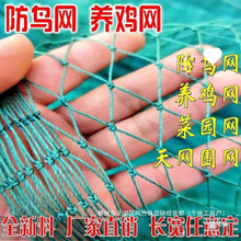 厂家直销100米家禽养鸡网拦鸡网养殖网护栏网围山鸡网防鸡网