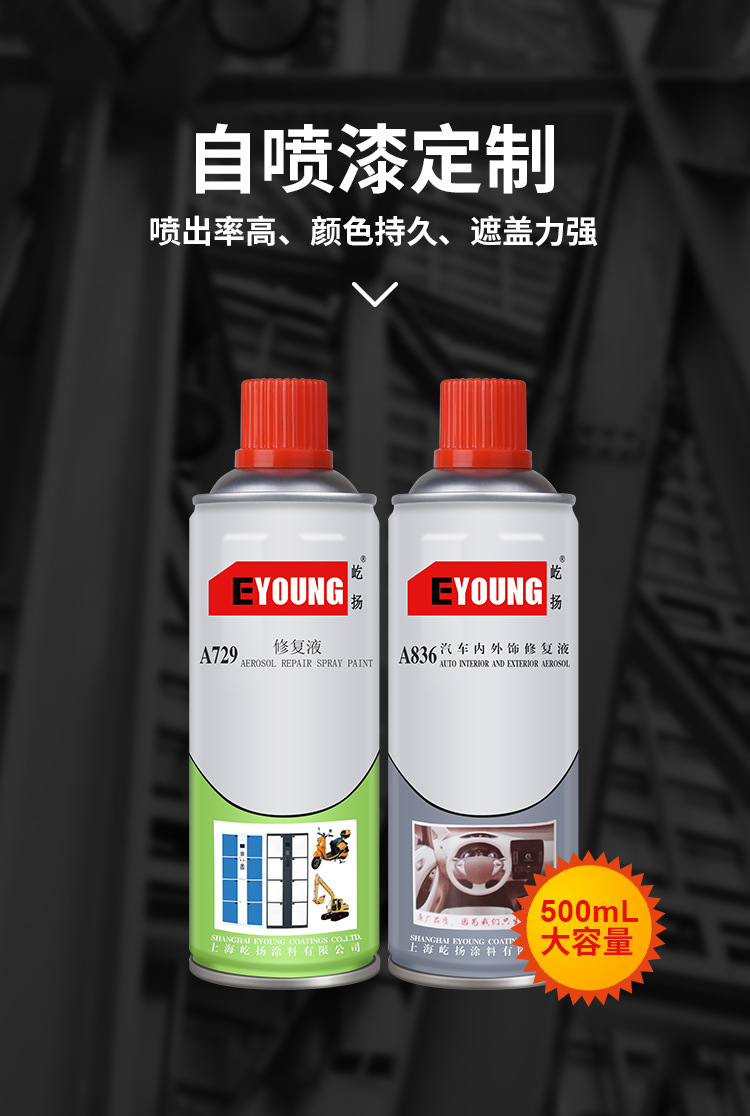 定制漆詳情_01.jpg