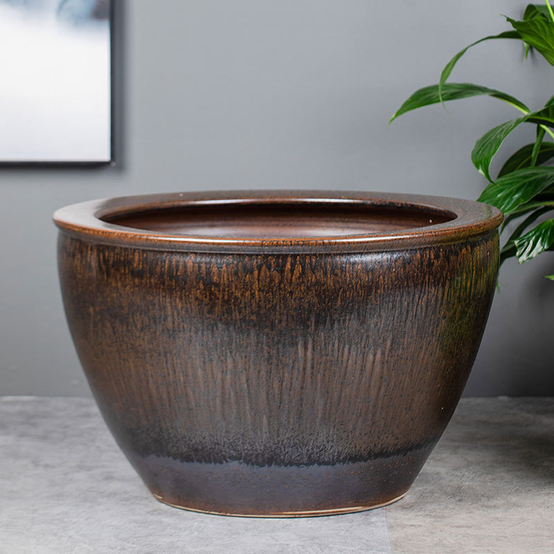 մɴ׹ŷڹɻ˯׹˾ͥԺڼˮ