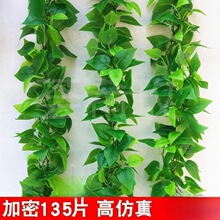 �����ڳ�ٻ��Gֲ�ړ�ˮ���p�@��ˮ���b����Ͽ��{�l���g����