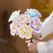 �մ�ĵ�����滨֦�����ͶY�����[���Ӽҿ͏d�ƙ��k���������b�Ʒ