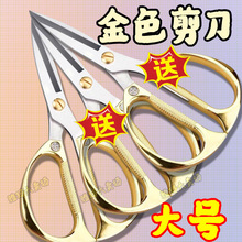 䓼P䓼úϽNuǼֹôեϞC