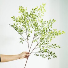 ɭϵ�����֧3��������ֲ��߼��п͏d�[������ʽ�Ҿ��b����Ի�