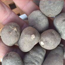 Ұ�����~�� �㽭�𾀵����J ���r��؛ ɢ�b ȫ�����]��