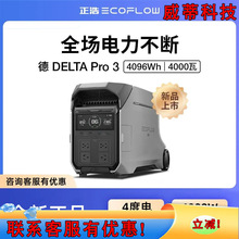 ���Ƒ����Դ�� Pro3 �����ИI������y�ԴEcoFlow Delta Pro 3