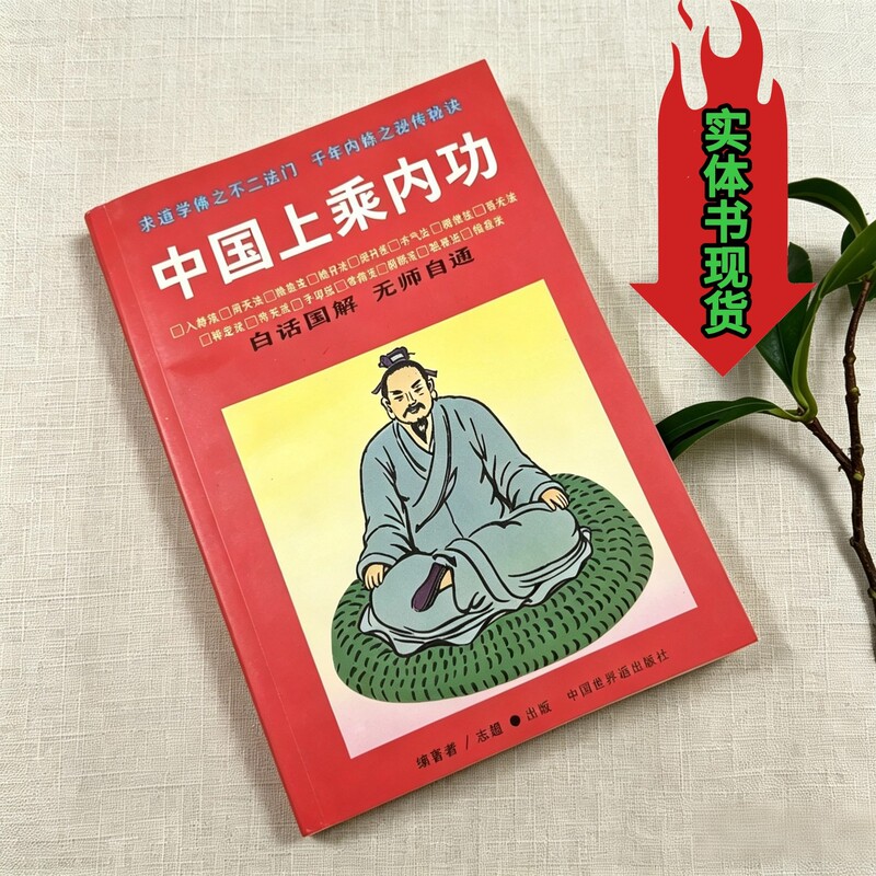 Chinese Superior Internal Techniques 1994: Qigong Mind Techniques, Meditation, Health Preservation, and Breathing Qigong
