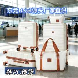 现货一件代发跨境专供纯PC巨结实TSA静音轮密码箱拉杆箱旅行箱包