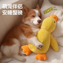 狗狗玩具毛绒幼犬小狗宠物比熊泰迪柯基磨牙耐咬自嗨解闷神器