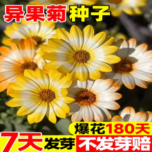 ջNļN_л҃ͥԺIջܷN