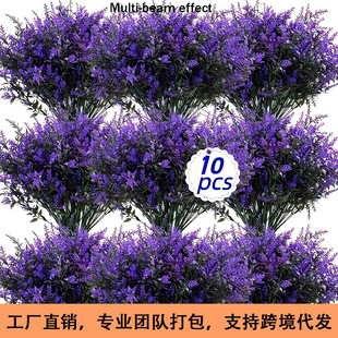 �羳���R�d�N��޹�²����ϻ����滨�Gֲ���Ի��ܷ���ֲ�ﻨ������