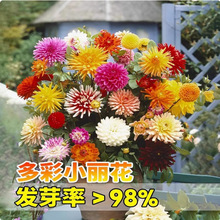 �ļ�̫ꖻ��N��С�����N���׻��̨���Ի��N��ͥԺ�҃����ʻ���