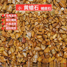 黄蜡石乌龟晒台天然腊石小碎石头鱼缸装饰造景铺底砂铺底发色晒背