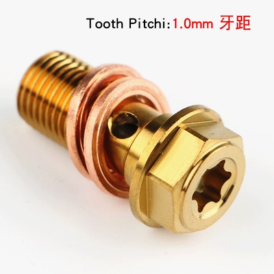 Tormoz supportları | abalone pump modified large and - not-deflated-10-gold