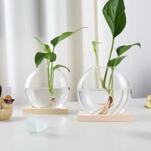 ԭľ���ⱱ�W�L��ˮ��ֲ�ﻨƿ�[���͹�С���¿͏d�b�ƿ����ƿ