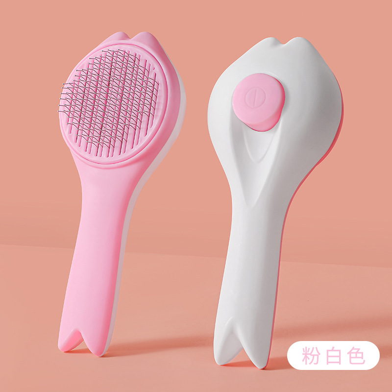 핑크 화이트