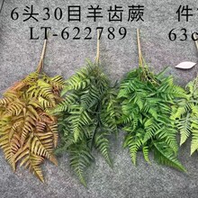 �������Xާ�~ާ��6�^30Ŀ�Gֲ���b��҃��쾰�~�Ӽٻ�ֲ����