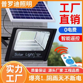 太阳能灯;投光灯;道路照明灯