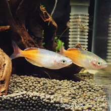 �Ϻ����lʯ�����~����늹������~�޺�G���������~С�͟Ꭷ�~�^�p