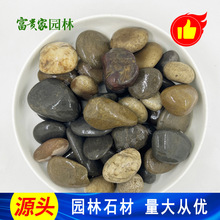 供應雜色鵝卵石 50-80毫米 河石子適用於園林景觀 電廠墊層卵石