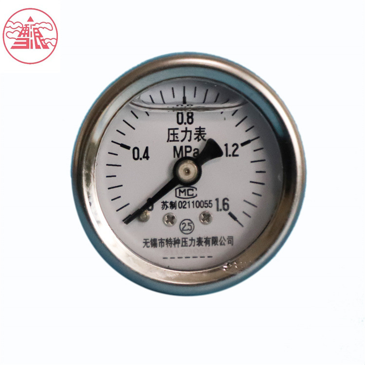 雪浪特种仪表 耐震油表 Y-40NZ1.0MPa轴向PT1/8压力表 不锈钢外壳