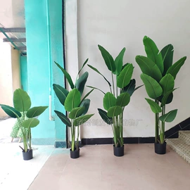 仿真绿植;仿真盆栽;植物工艺品