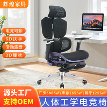 �������w���W���m�k����X�� ���ô��Α���������������늸���