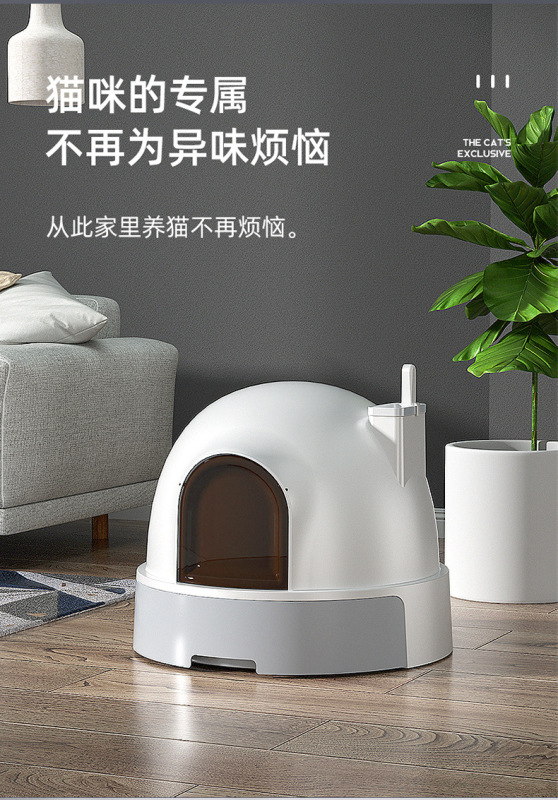 https://www.toonies.cn詳情頁 (11).jpg_800x800.jpg