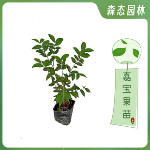 ɳ�ͼΌ����������Ի����҃��̨�����ѱ�������NҎ��Gֲ
