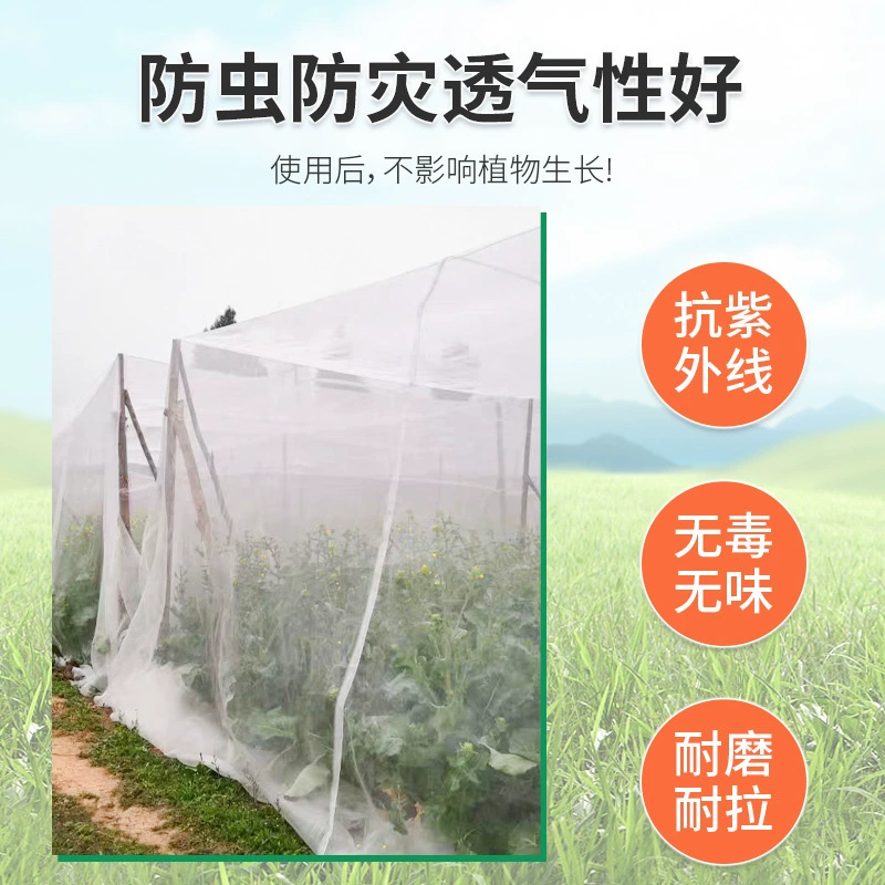 Растительная теплица, защищенная от насекомых, Москитная оконная марлевая сетка, фруктовое дерево, защищенная от насекомых, сетка для размножения кузнечиков, 40 сеток утолщенная