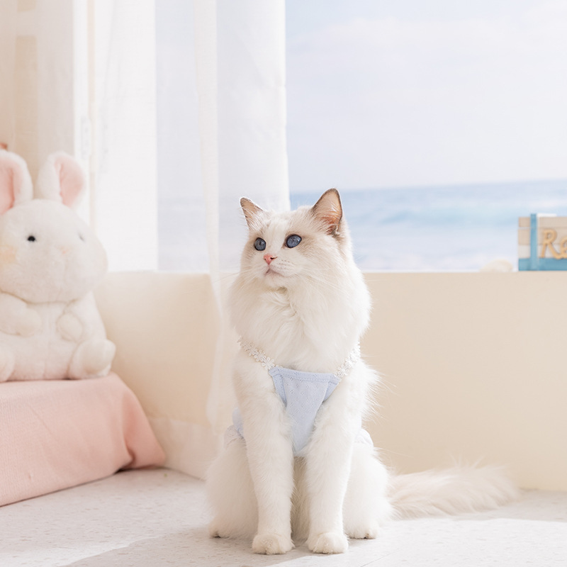 Vestido de tirantes transpirable con estampado de oso para perros_voghion.com
