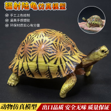 仿真实心辐射陆龟模型玩具象龟苏卡达宠物乌龟星龟摆件儿童礼物
